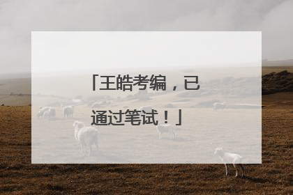 王皓考编，已通过笔试！